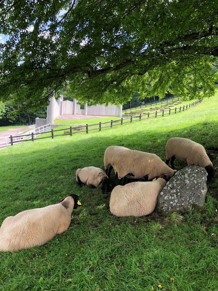 Nさんが投稿したまきば公園に関する口コミの画像