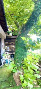 平野観光農園