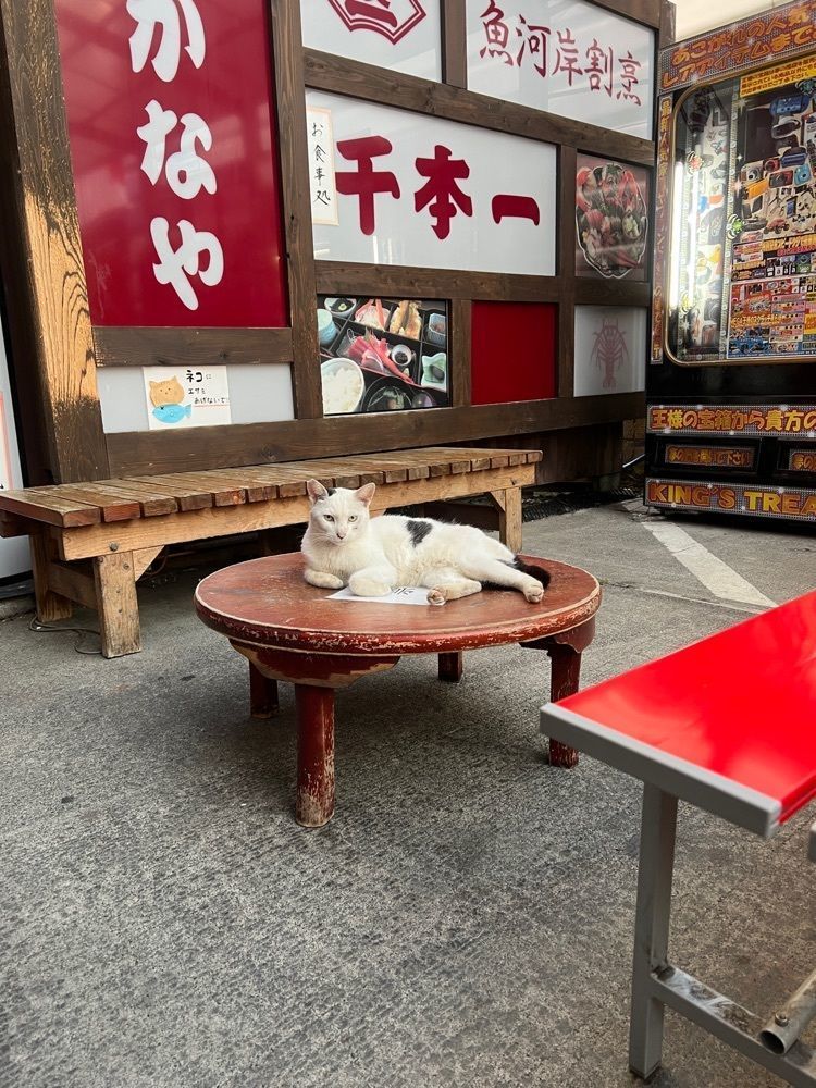 サブ&クルさんが投稿したせきのに関する口コミの画像