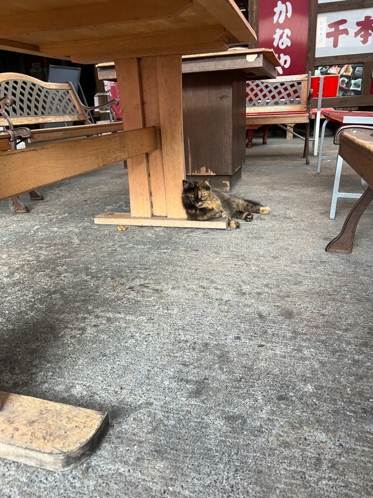 サブ&クルさんが投稿したせきのに関する口コミの画像