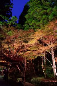 小國神社