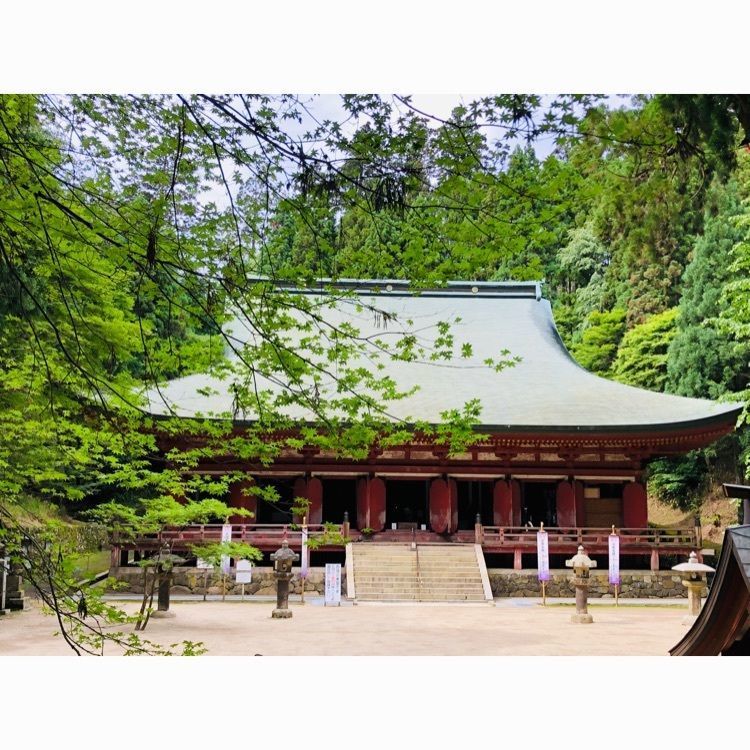 ゆうの画像