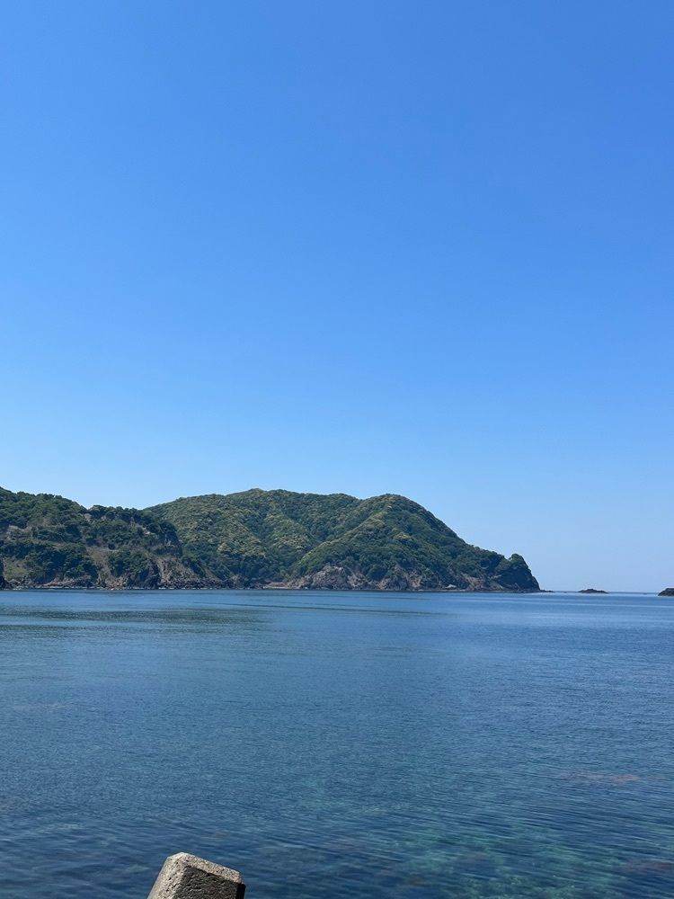 MIMICO関西グルメ手帖さんが投稿した淀の洞門に関する口コミの画像
