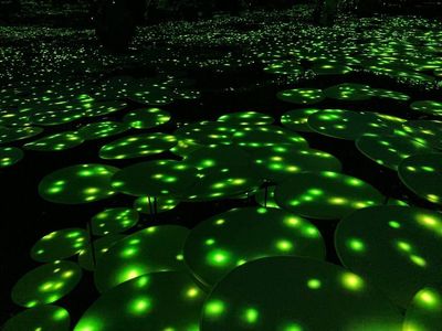 ジールクルーズ お台場 パレットタウン 3枚目