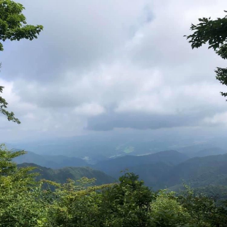 ＤＪゴン太さんが投稿した宝仏山に関する口コミの画像