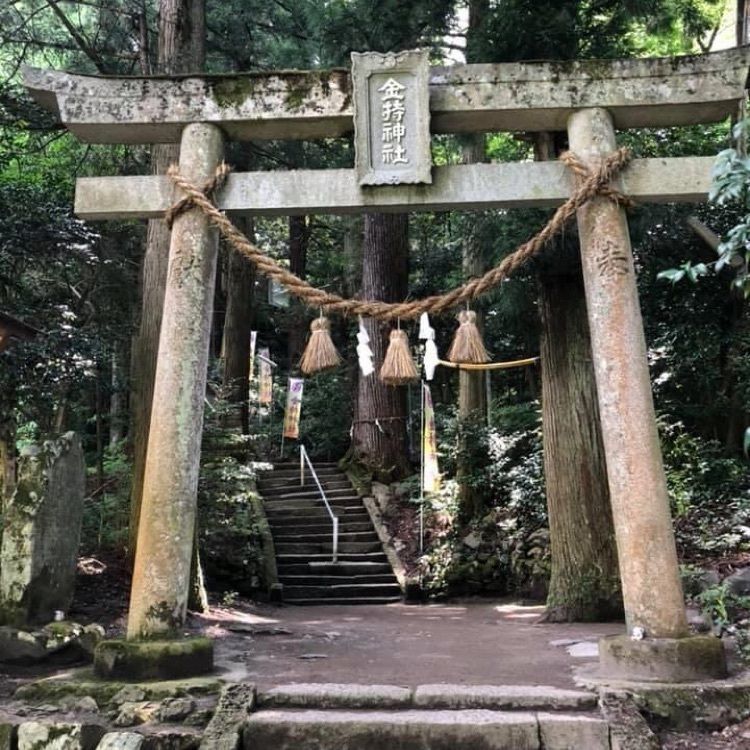 ＤＪゴン太さんが投稿した宝仏山に関する口コミの画像