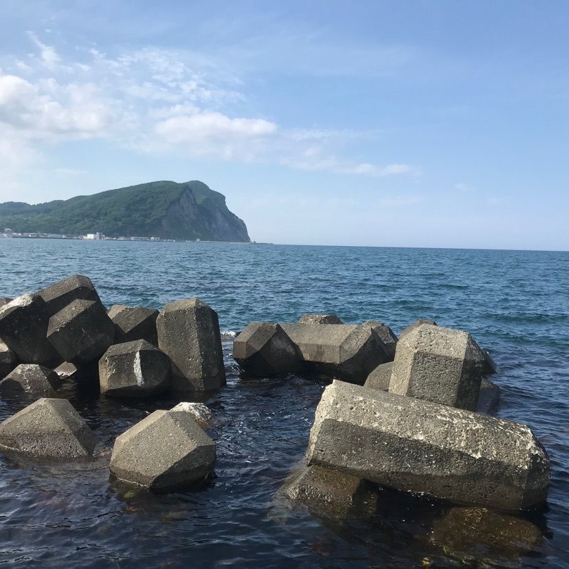 real_city_358  toyoさんが投稿したさくらんぼ山観光農園に関する口コミの画像