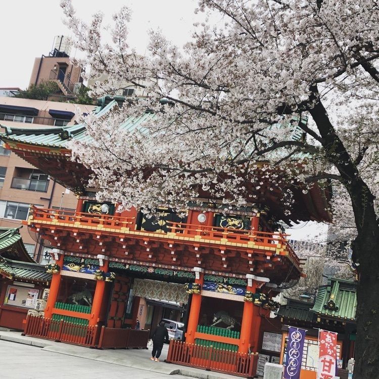 ゆきのりさんが投稿した神田神社（神田明神）に関する口コミの画像