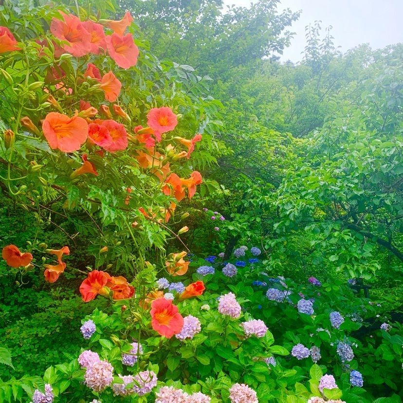 rein_life05さんが投稿した百草園駅に関する口コミの画像