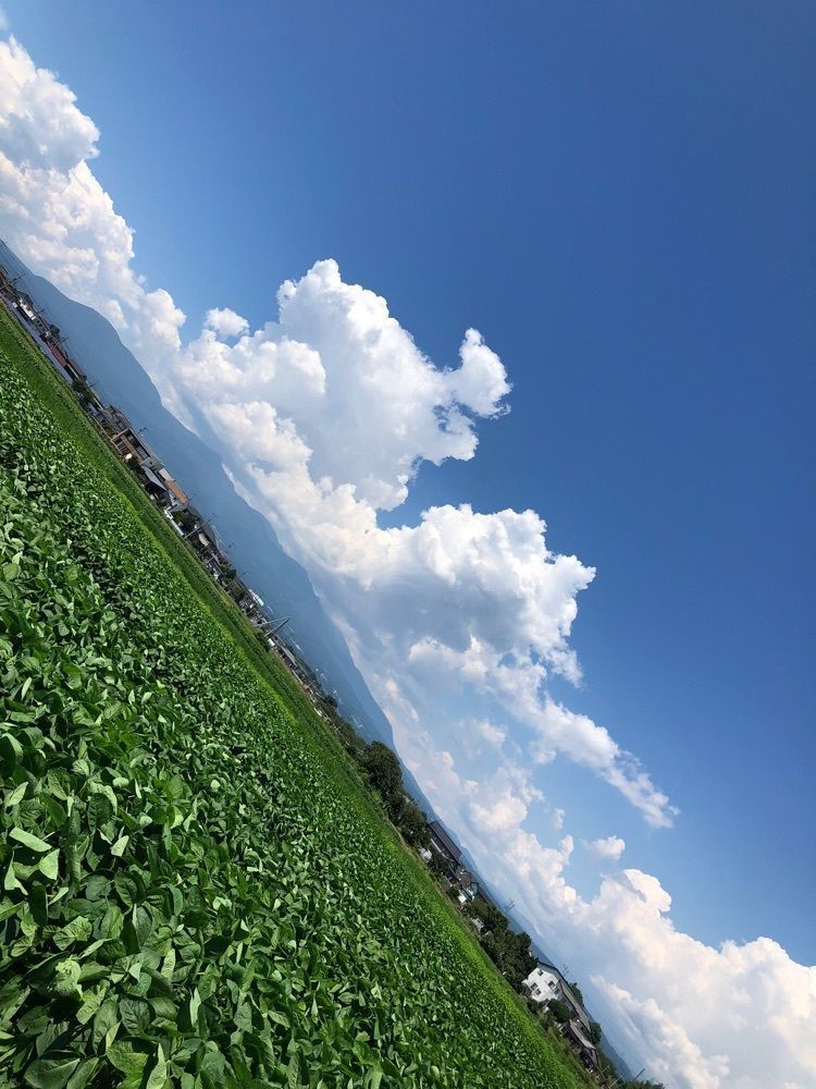 からっ風②さんが投稿した木の小屋に関する口コミの画像