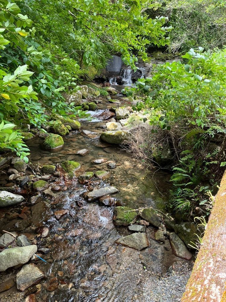 ヤベっちさんが投稿した野河内渓谷自然歩道に関する口コミの画像