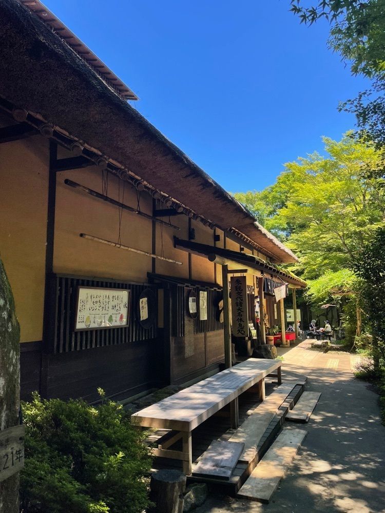 R.i.nさんが投稿した甘酒茶屋（あまざけちゃや）に関する口コミの画像