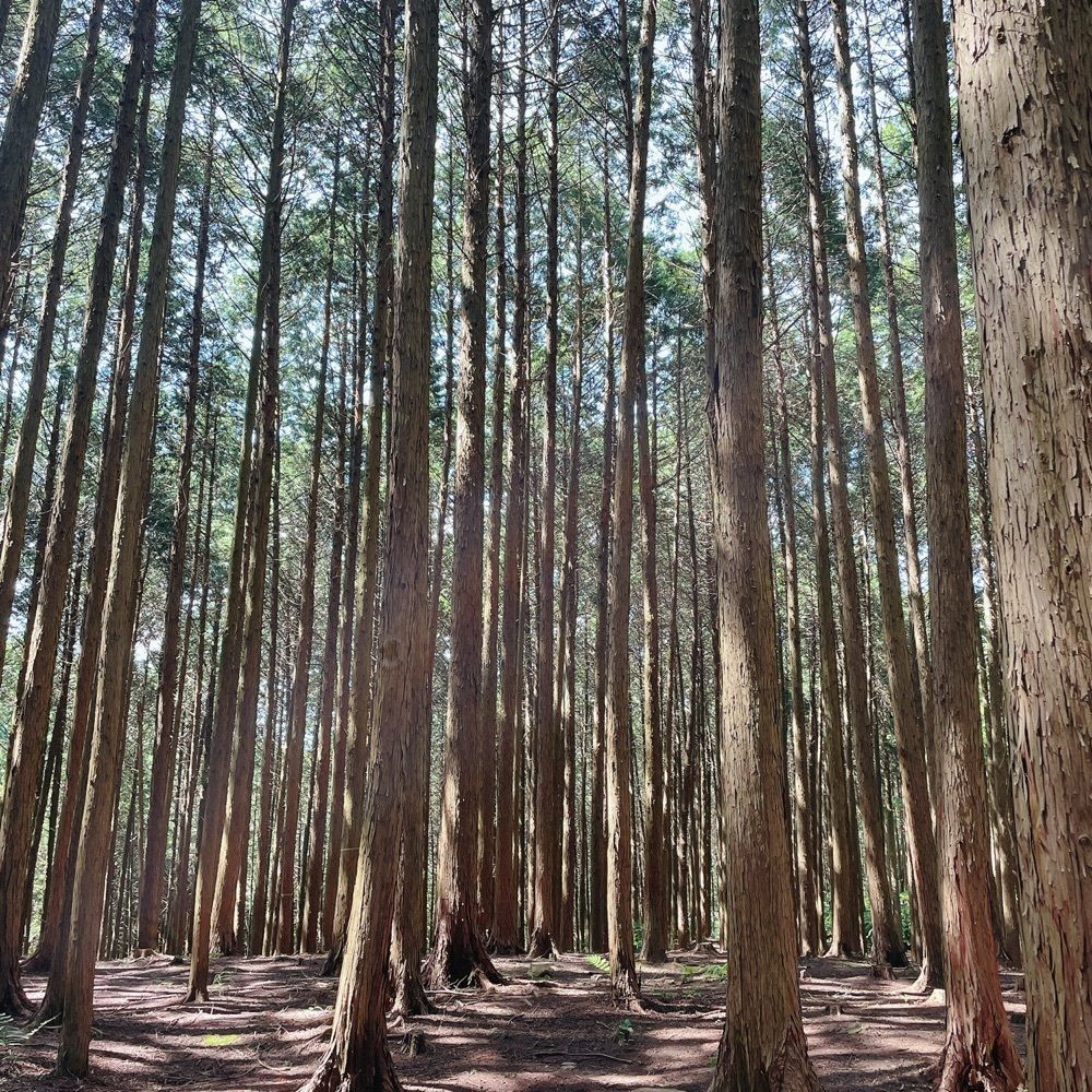 Danjouさんが投稿した信貴山城跡に関する口コミの画像