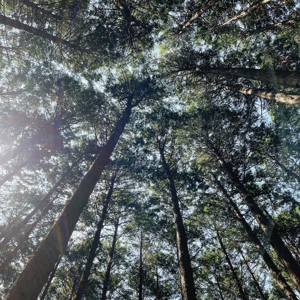 Danjouさんが投稿した信貴山城跡に関する口コミの画像