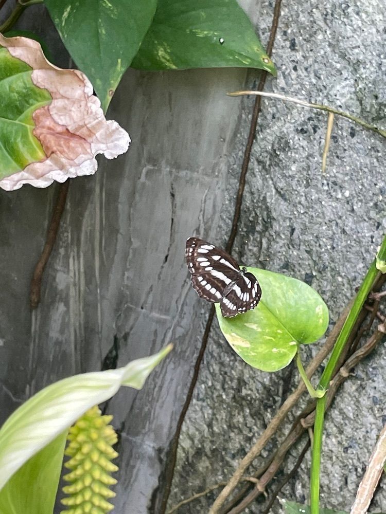みーなさんが投稿した広島市森林公園に関する口コミの画像