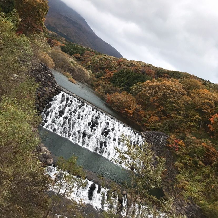 猫なぎ。さんが投稿した七ヶ宿に関する口コミの画像
