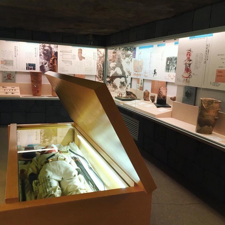 Canacameraさんが投稿した多摩川台公園古墳展示室に関する口コミの画像