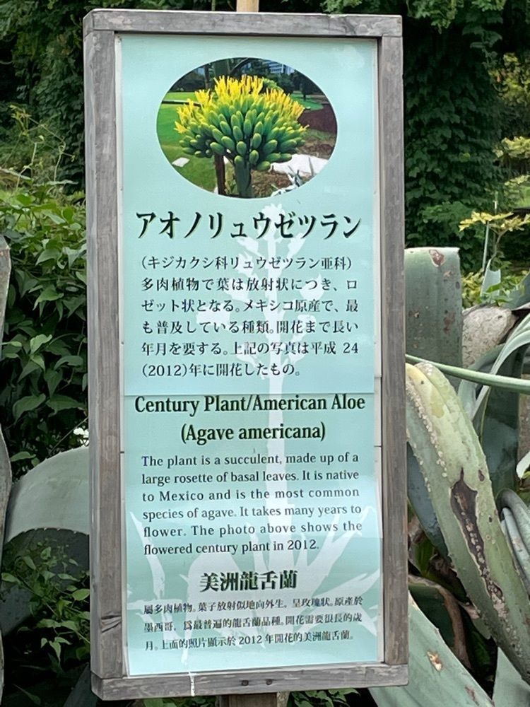 ひろみさんが投稿した中島の御茶屋に関する口コミの画像