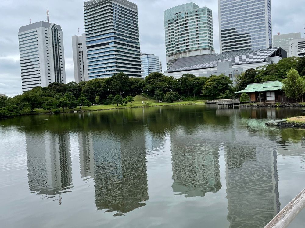 ひろみさんが投稿した中島の御茶屋に関する口コミの画像