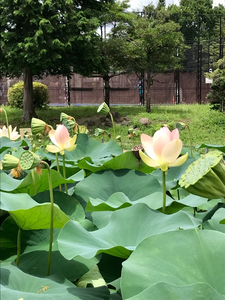 施設画像