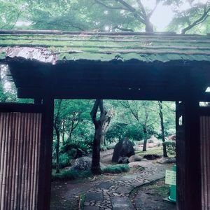 旧朝倉家住宅 2枚目