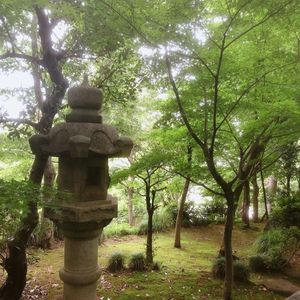 旧朝倉家住宅 3枚目