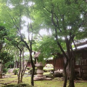 旧朝倉家住宅 4枚目