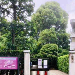 旧朝倉家住宅 6枚目