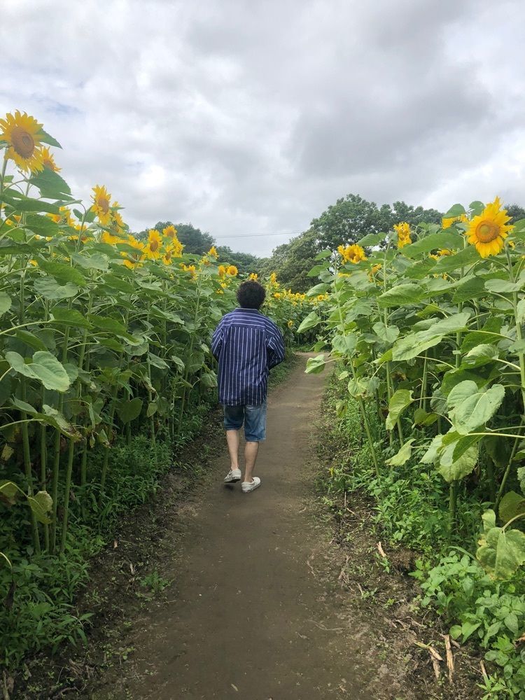 happy_walkingさんが投稿した小川農場に関する口コミの画像