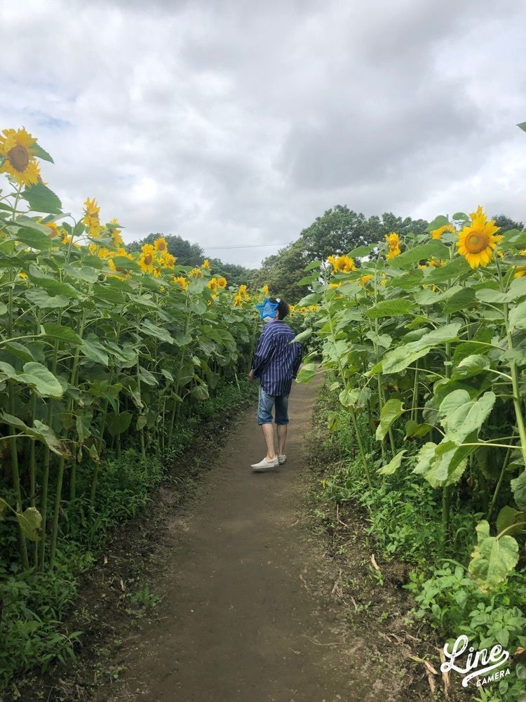 happy_walkingさんが投稿した小川農場に関する口コミの画像