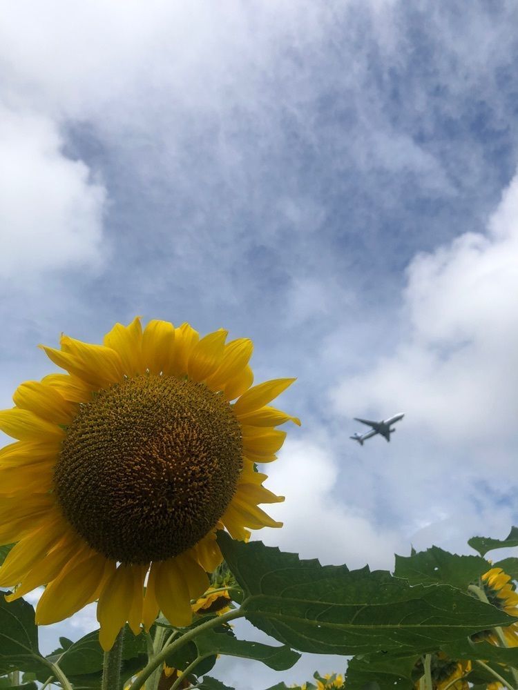 happy_walkingさんが投稿した小川農場に関する口コミの画像