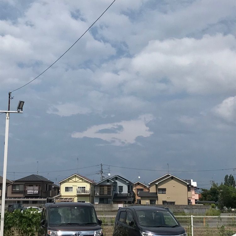 ロコさんが投稿した伊豆神社に関する口コミの画像