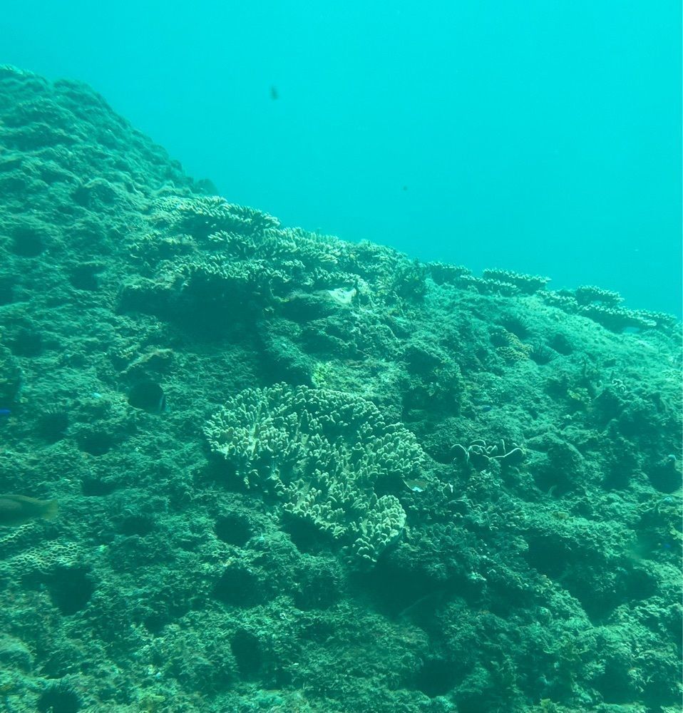 みーなさんが投稿した足摺海底館に関する口コミの画像