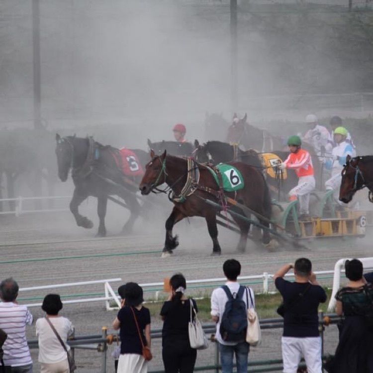 ＤＪゴン太さんが投稿したばんえい牧場十勝に関する口コミの画像