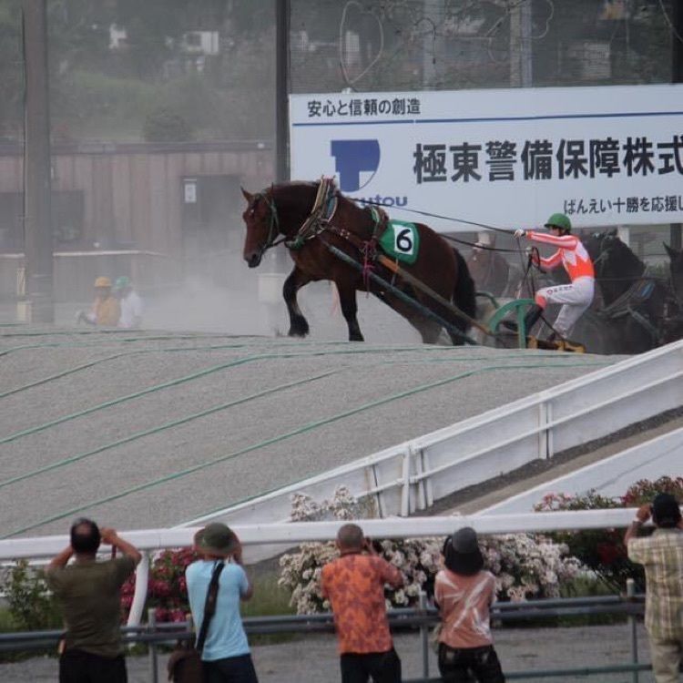 ＤＪゴン太さんが投稿したばんえい牧場十勝に関する口コミの画像