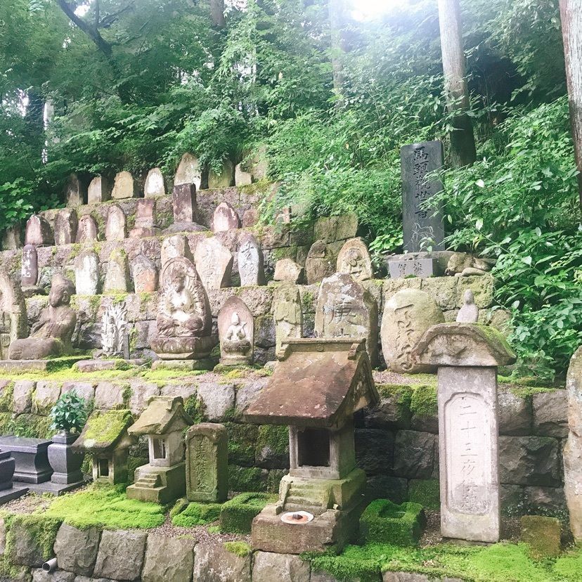 猫なぎ。さんが投稿した飯坂温泉に関する口コミの画像