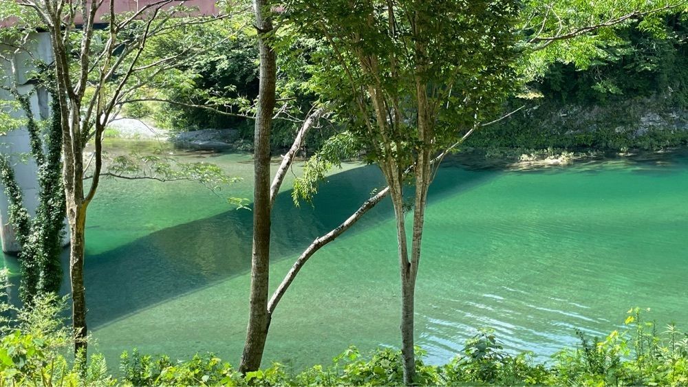 みぃさんが投稿した仁淀川に関する口コミの画像