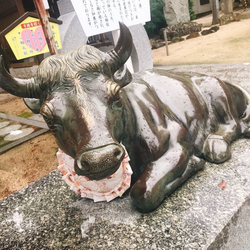 猫なぎ。さんが投稿した飯坂温泉に関する口コミの画像