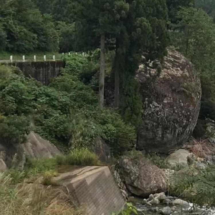 ＤＪゴン太さんが投稿した五十沢キャンプ場に関する口コミの画像