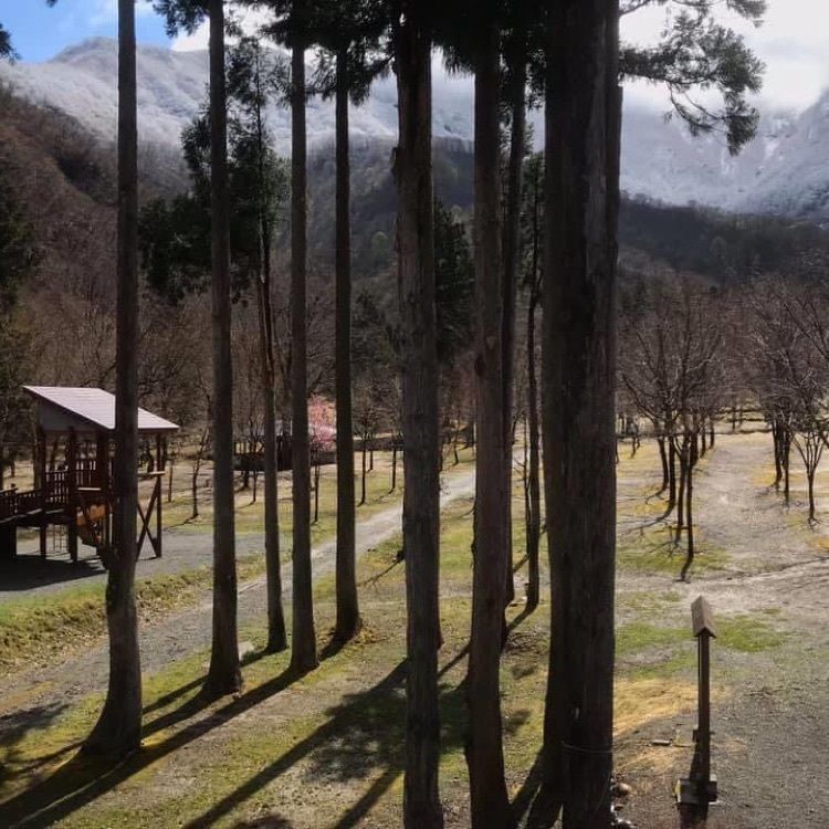 ＤＪゴン太さんが投稿した五十沢キャンプ場に関する口コミの画像