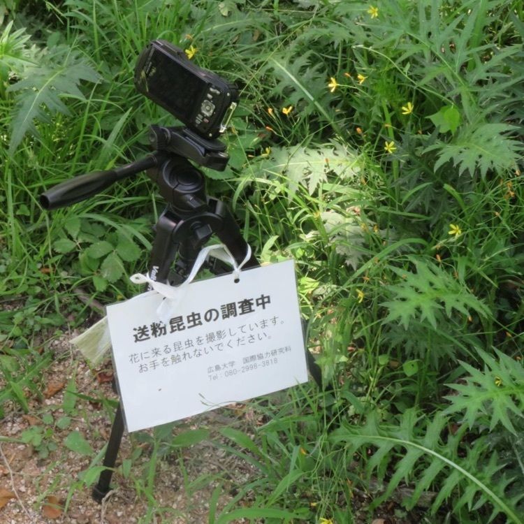 ＤＪゴン太さんが投稿した赤名湿地性植物群落に関する口コミの画像