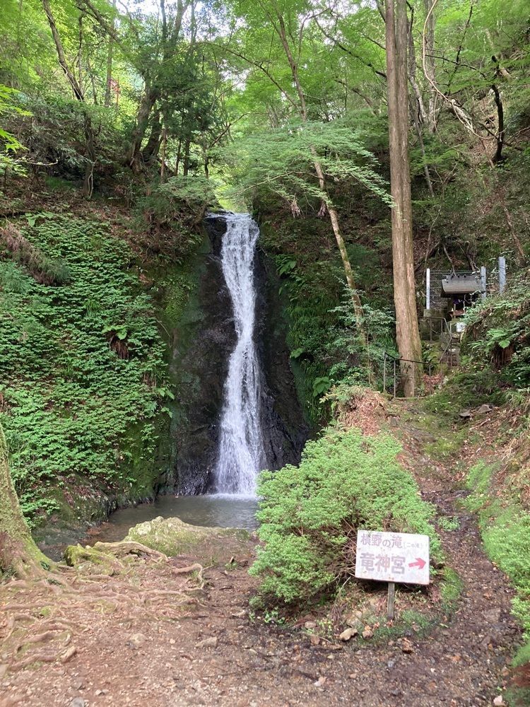 うーとらマンさんが投稿したもみじ亭に関する口コミの画像