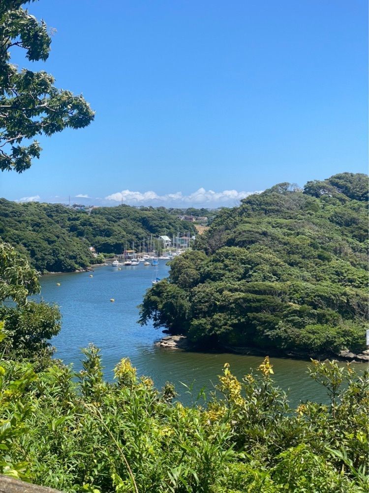 かよこさんが投稿した油壷に関する口コミの画像