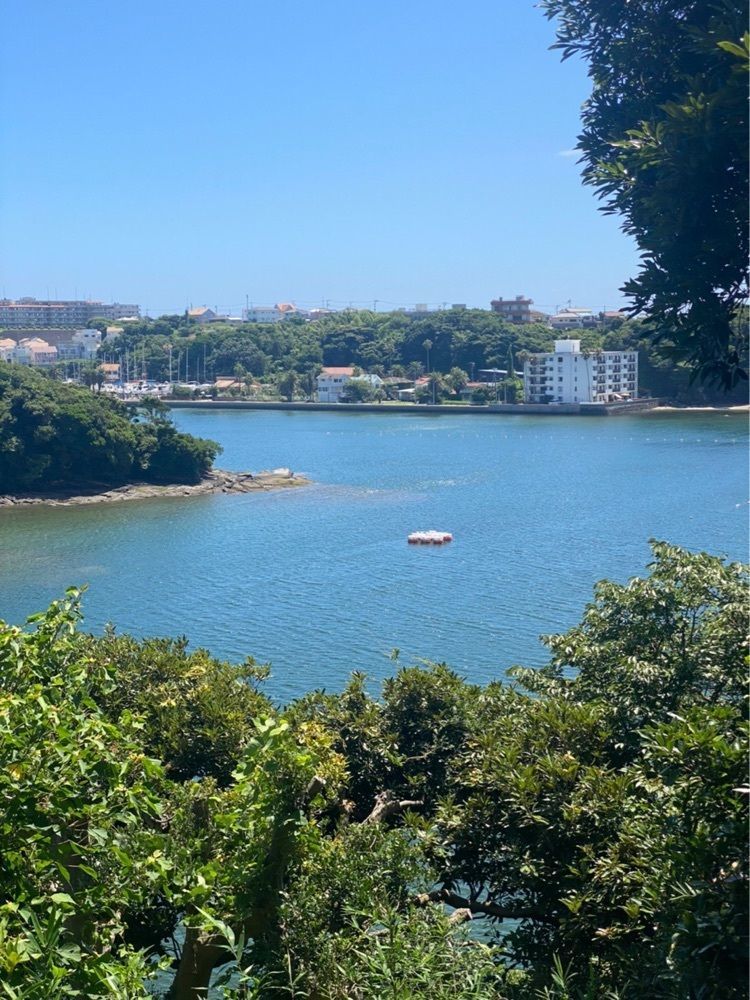 かよこさんが投稿した油壷に関する口コミの画像