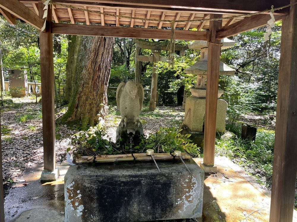 らぐ🏉🍺ビアさんが投稿した山代温泉に関する口コミの画像