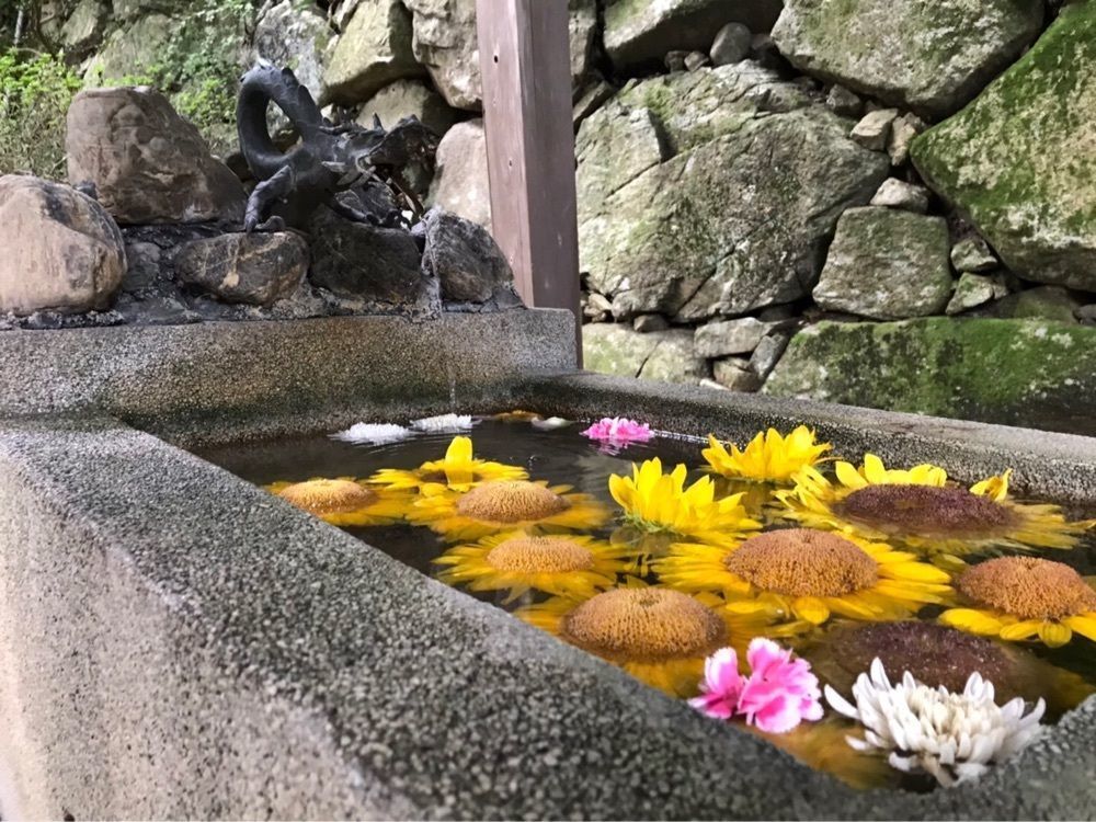 するめさんが投稿した八幡山城跡に関する口コミの画像