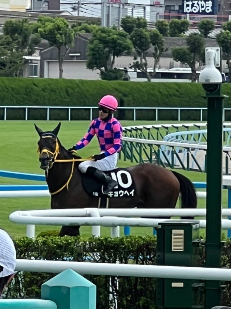 himbaさんが投稿した小倉競馬場に関する口コミの画像