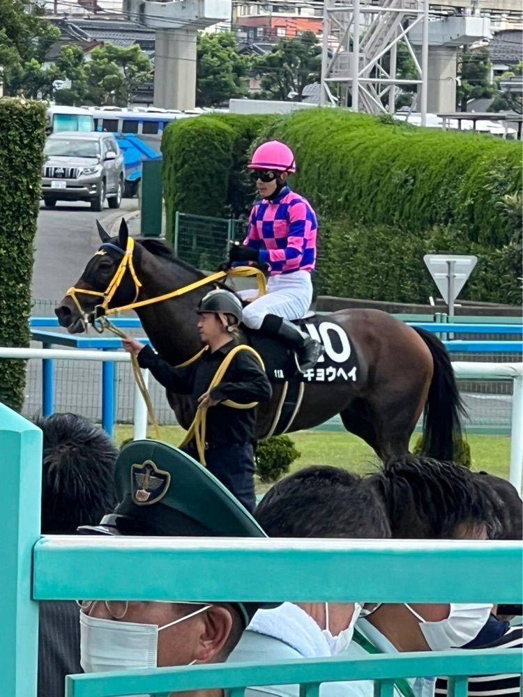 himbaさんが投稿した小倉競馬場に関する口コミの画像
