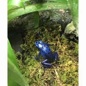 サンシャイン水族館