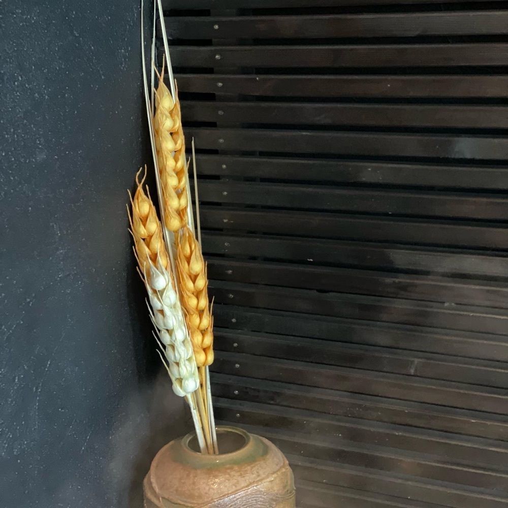 えつごさんが投稿した麦の空 GACHI SOBA DOJO（麦の空 ガチ ソバ ドージョー）に関する口コミの画像